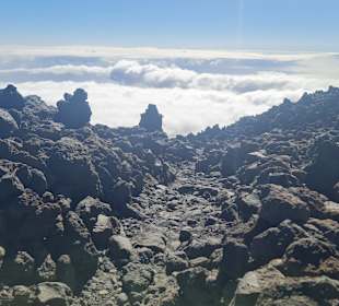 Wandern Puerto de la Cruz