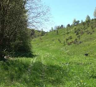 Magolsheimer Buchtalweg
