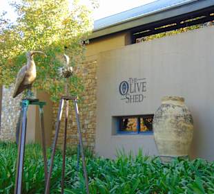 Weingut Tokara in Stellenbosch
