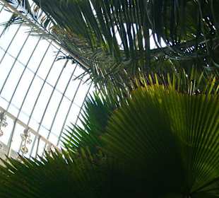 Kuppel des Palmenhauses