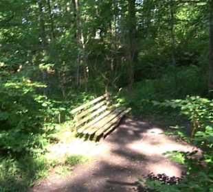 Premiumwanderweg "hochgesprudelt"