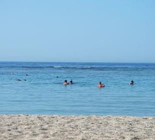 Schnorchler am Hausriff