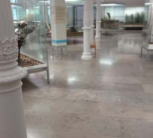 Staatliches Naturkunde Museum