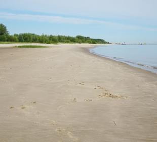 Am Strand der Insel Krautsand