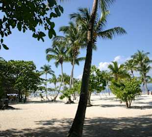 Ausflug zur Bacardiinsel