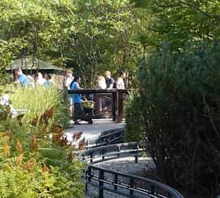 Land der Ritter - Ritterturnier