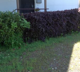 Altes Schulhaus Neu-Nuifra