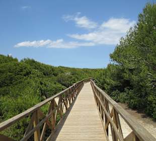 Strand Playa de Muro