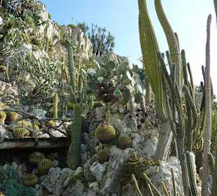 Jardin Exotique