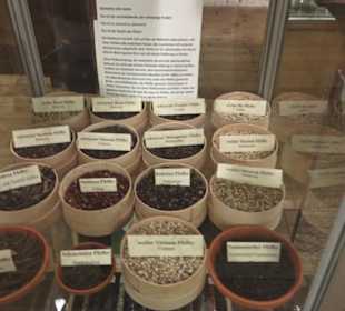 Spicy's Gewürzmuseum