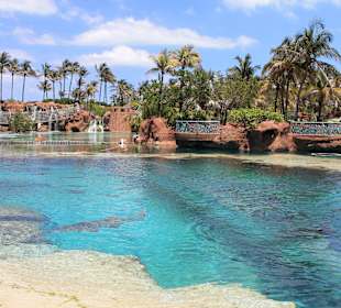 Die angelegten Fischbecken in der Anlage