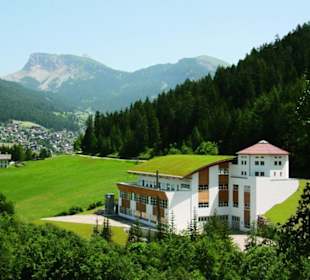 Dolfi Land Sommer