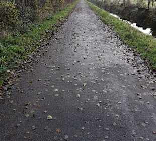 Richtung Heckrinderweide