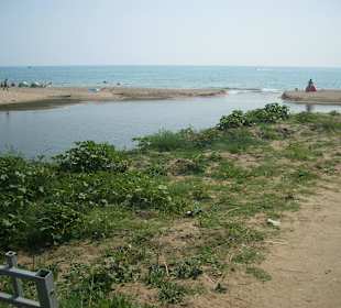 Fluss zum Meer