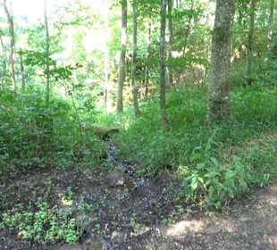 Premiumwanderweg "hochgesprudelt"