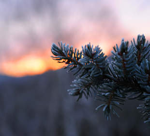 Wandern Vöhl