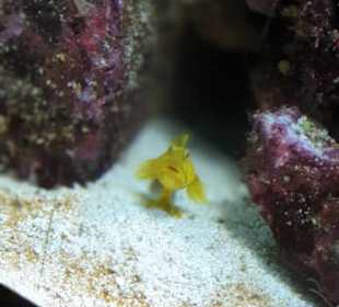 Allwetterzoo Münster