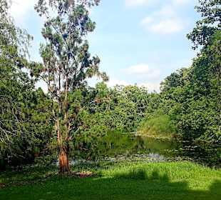 Botanischer Garten