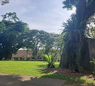 Fort Canning Park