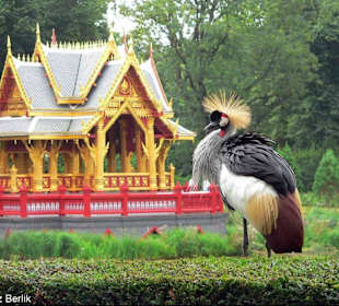 Tierpark Hagenbeck, wenige Meter vom Hotel entfernt