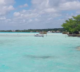Bacalar