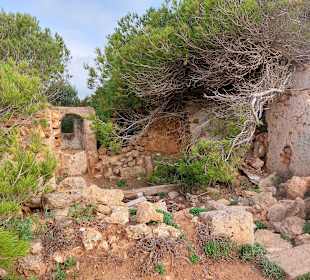 Naturschutzgebiet Punta de n'Amer