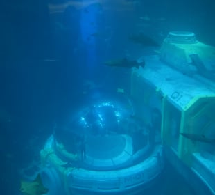 Aquarium mit Untersee-Station