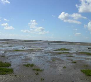 Wattenmeer mit Nordstrandischmoor
