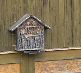 Naturinfopfad im Gewann Altstadt