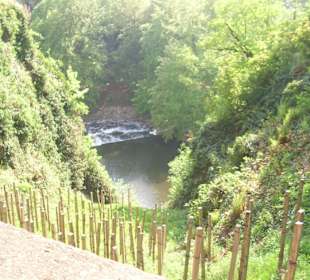 Außenansicht und Umgebung