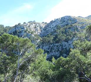 Puig de Sant Martí