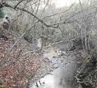 Fluss Breitenbach