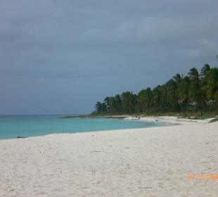 Saona