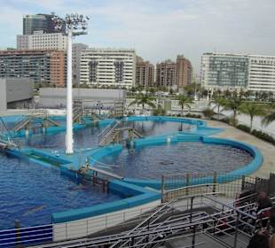 Teil des Delphinariums