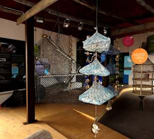 Aufzuchtbehälter für die kleinsten Austern