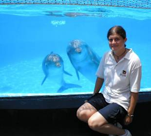 ein Sommer mit den Delfinen des Loro Parque´s