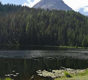 Schwarzer See Mutzkopf