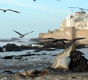 Port w Essaouira