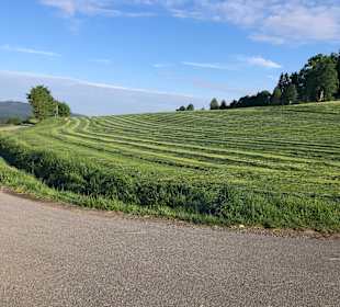Wandern Drachselsried