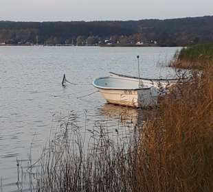 Selliner See