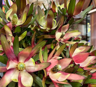 Exotische Blumen und Früchte auf dem Markt...