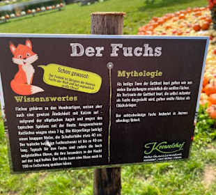 Krewelshof  Kürbisschau 2022 (Wundersame Waldwesen