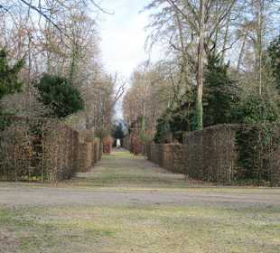 Schlosspark Schwetzingen im Winter