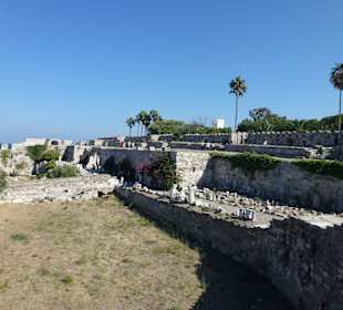 Kos