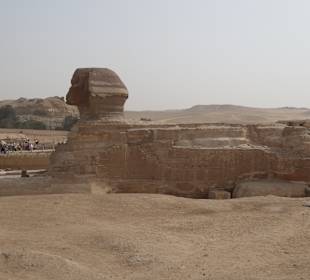 Sphinx von Gizeh