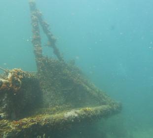 Tauchen am Wrack der Fähre in der Bucht Samana