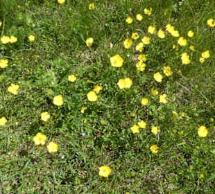 Eindruck vom Spaziergang Ostheimer Streifberg-Tour