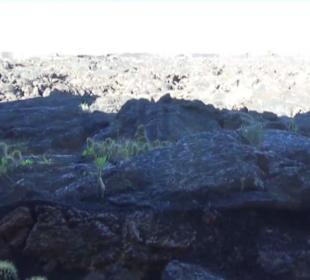 Fundacion Cesar Manrique