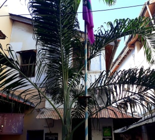 Stadtrundgang Stone Town