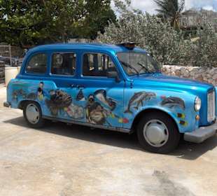 Bemaltes Auto vor dem Sea-Aquarium